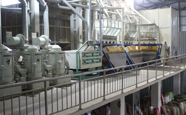 成套大米機械 成套大米機械